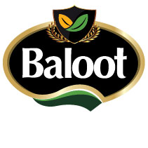 بلوط